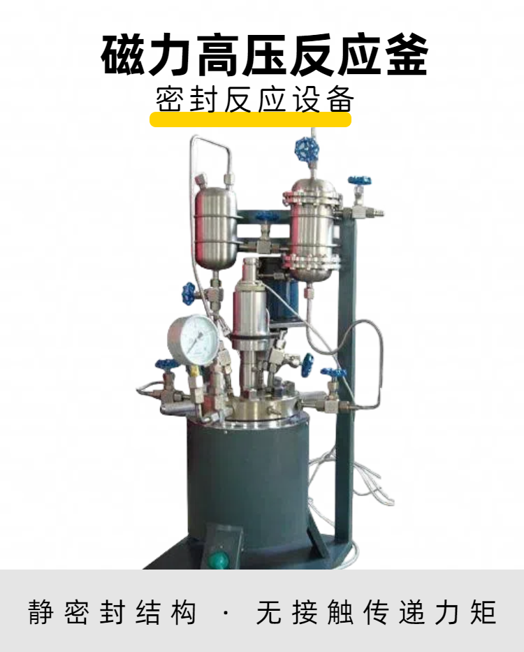 磁力高壓反應釜